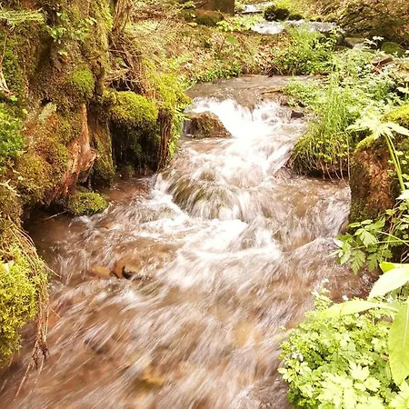 Am Kirchberg Kurort Steinbach-Hallenberg