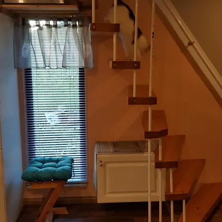 Am Kirchberg Kurort Steinbach-Hallenberg