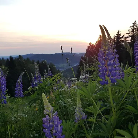 Am Kirchberg Appartamento