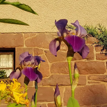 Appartamento Am Kirchberg