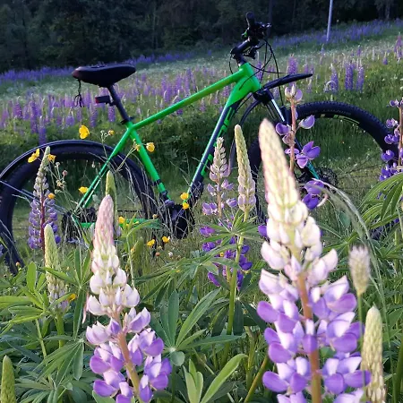 Am Kirchberg Appartamento Kurort Steinbach-Hallenberg