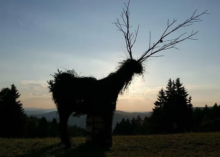 アパート Am Kirchberg *