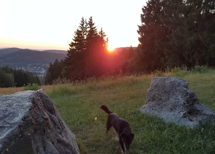 Am Kirchberg アパート *