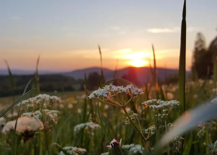 アパート Am Kirchberg