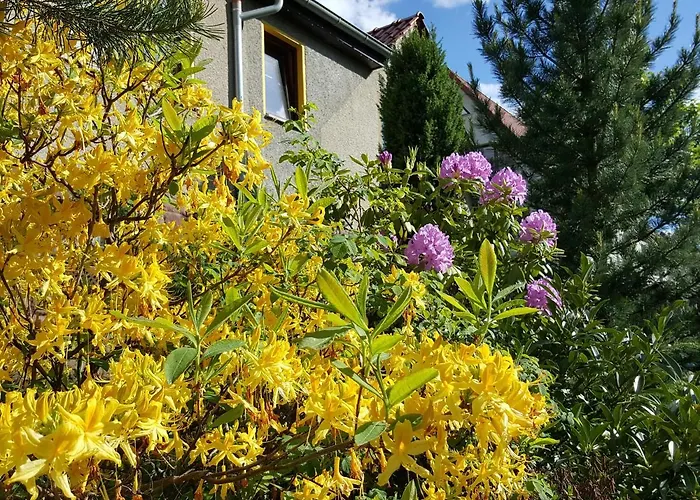 Am Kirchberg Kurort Steinbach-Hallenberg