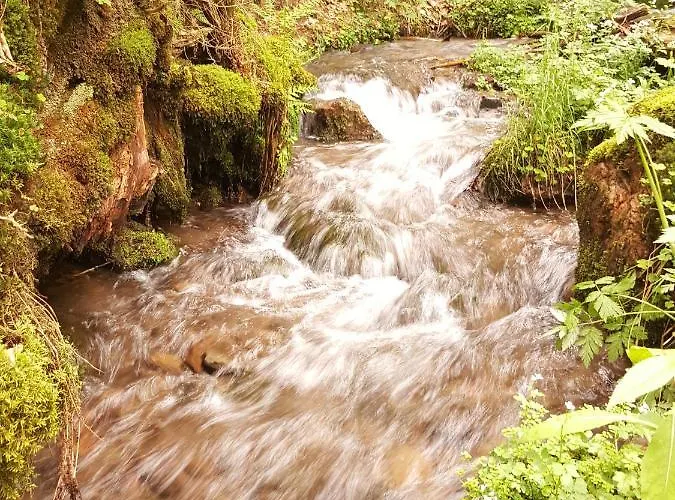 Am Kirchberg Kurort Steinbach-Hallenberg