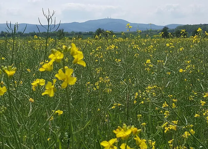 Am Kirchberg アパート