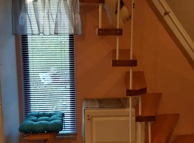 Am Kirchberg Kurort Steinbach-Hallenberg