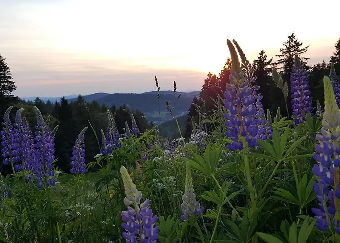 Am Kirchberg アパート