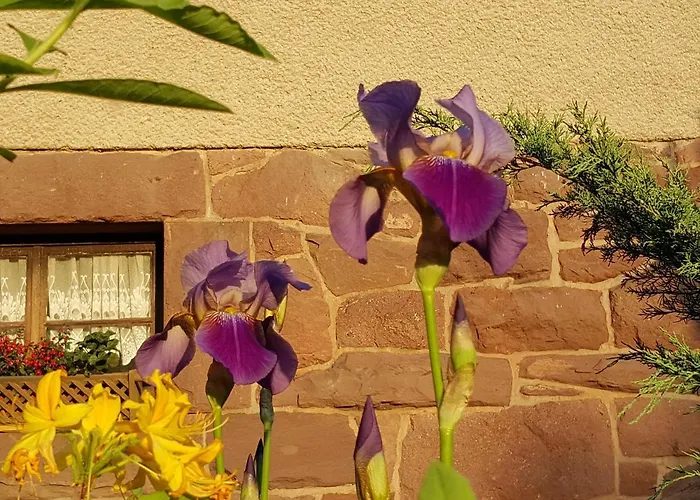 アパート Am Kirchberg