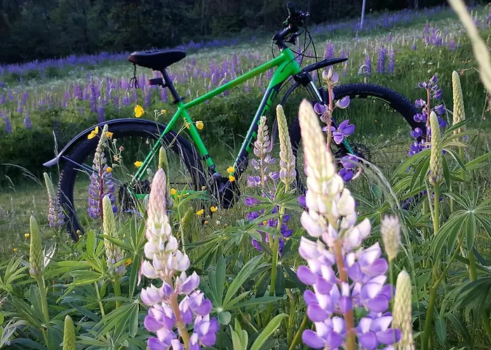 Am Kirchberg アパート Kurort Steinbach-Hallenberg