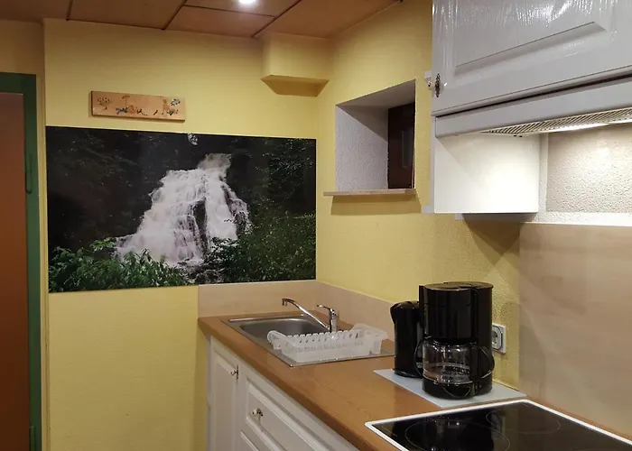 アパート Am Kirchberg Kurort Steinbach-Hallenberg